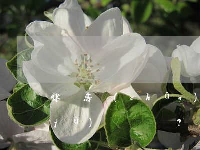 律師：房產(chǎn)糾紛需要哪些證據(jù)？這里都列全了
